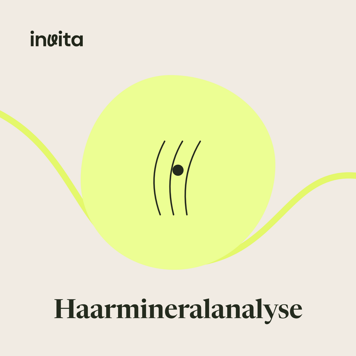 Haarmineralanalyse auf toxische Metalle | 55 Werte