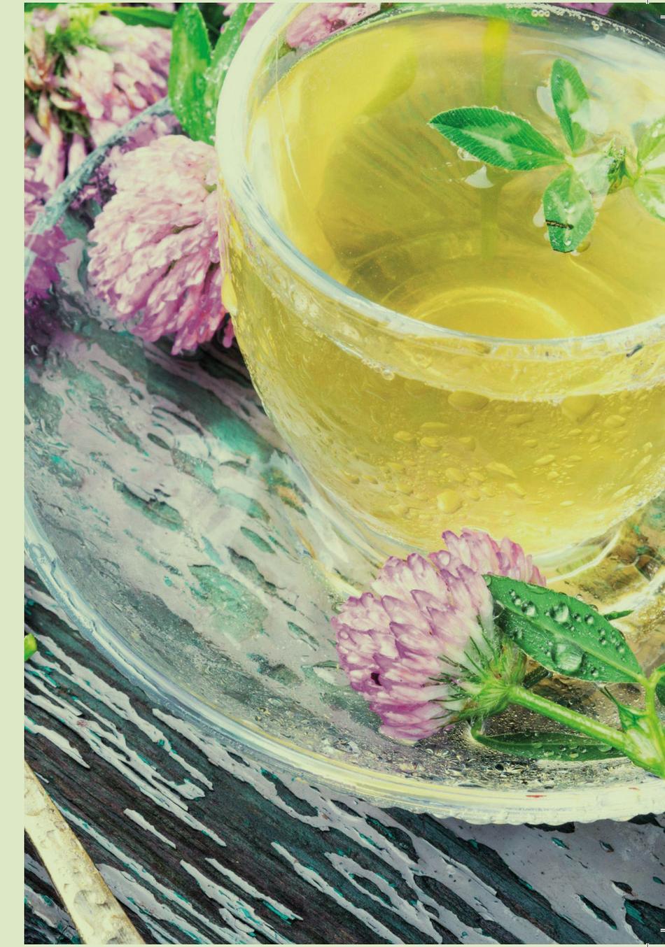 Glas mit frisch aufgegossenem Kräutertee und Rotkleeblüten
